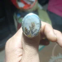 انگشترشجر