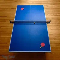 همکاری با مربی پینگ پنگ آقایان و بانوان