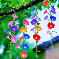 فقط با ثبت نام این جایزه بگیر لینک میخوای پیام بدی