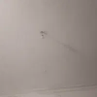 لامپ