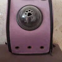 کیف و کوله گربه یا سگ