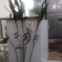 گل بامبو خوشگل وزیبا واقعا انگار طبیعی هستش|گل مصنوعی|هشتگرد, شهرک آرتیمان|دیوار
