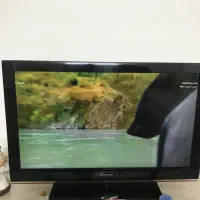 فروش تلویزیون