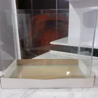 آکواریوم شیشه خم