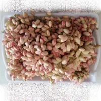 پسته اصل رفسنجان