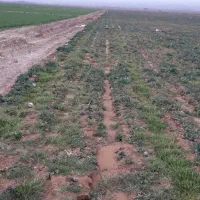زمین-کشاوورزی-6000-متر-با-2-ساعت-نیم-آب