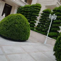 خدمات باغبانی فروش گیا قیمت مناسب|خدمات باغبانی و درختکاری|کرج, فاز ۲ مهرشهر|دیوار