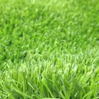 درخت شکوفه.گرین وال ..ترموود|گل مصنوعی|آمل, |دیوار