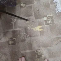 موکت|موکت|دزفول, |دیوار