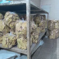 بسته یک کیلوی ۷۰