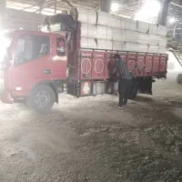 باگاس نیشکر ،کاه نیشکر،ملاس|عمده‌فروشی|هشتگرد, هشتگرد قدیم|دیوار