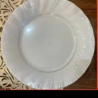 ظروف چینی