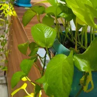 آموزش ریاضی به صورت حضوری و آنلاین|خدمات آموزشی|نسیمشهر, |دیوار