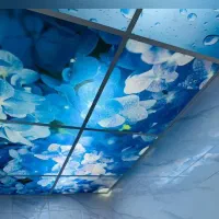 مغازه استیجاری در بهترین نقطه آزادگان