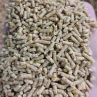 دان مرغ و نهاده دامی درجه یک و با کیفیت|عمدهفروشی|کوهدشت, |دیوار