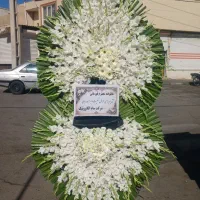 کد۶۶تاجگل ختمی با ارسال رایگان
