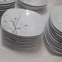 ظروف چینی پردیس