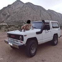 نیسان پاترول 2 در انژکتور،مدل ۱۳۷۶|خودرو سواری و وانت|شیراز, هفت تنان|دیوار