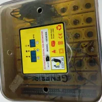 دستگاه جوجه کشی اتومات.مرغ خروس اردک بوقلمون پرنده|لوازم جانبی حیوانات|زاهدان, |دیوار