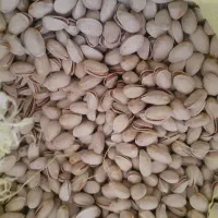 پسته خوشمزه ارگانیک آذربایجان|خوردنی و آشامیدنی|صوفیان, |دیوار