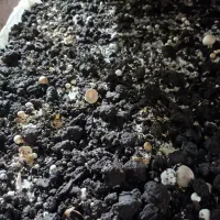 کمپوست مصرف شده