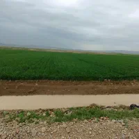 ۲هکتار زمین با موتور اب به اجاره