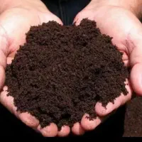 ورمی کمپوست غرب اصفهان