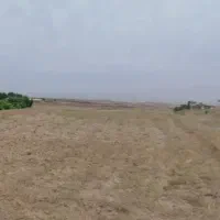 زمین کشاورزی ۸هکتار