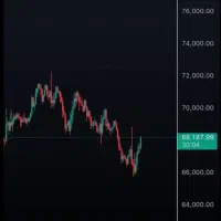 در آمد دلاری تضمینی