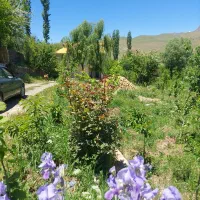 اجاره-کوتاه-مدت