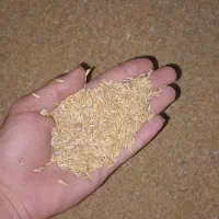 چلتک تمیز میداود فقط ۱۸۵