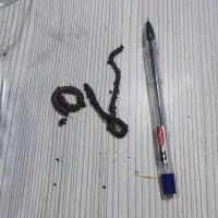 ماهیگیری|ماهیگیری|اصفهان, عمان سامانی|دیوار