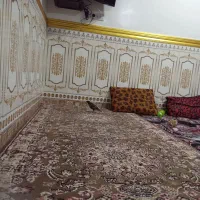مینا۸ماه فقدسلام|پرنده|شادگان, |دیوار