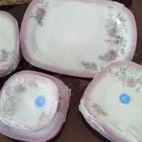 آرکوپال ۲۵پارچه