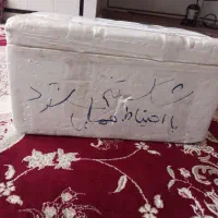 فیبر( یخدون)|ظروف نگهدارنده، پلاستیکی، یک‌بارمصرف|زابل, |دیوار