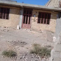 شماره تماس  اقای مقصودی