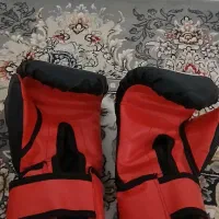 دستکش بوکس|تجهیزات ورزشی|رشت, ولکس|دیوار