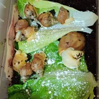 حلزون آچاتینا/حیوان خانگی خاص و بی‌صدا|خزنده|کرمان, |دیوار