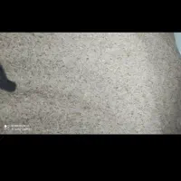 برنج فجر کیلو 250