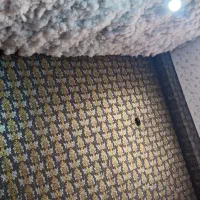 نقاشی ساختمان طرح کاغذدیواری|خدمات پیشه و مهارت|مرند, |دیوار