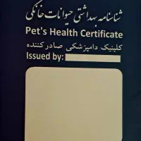 سگ نگهبان|سگ|گنبد کاووس, |دیوار