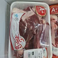 گوشت و مرغ|حراج|قم, سالاریه|دیوار