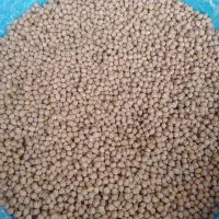 نخود وعدس محلی شسته و تمیز َشده