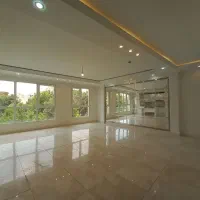 ۱۶۵ متر، نوساز، ۴ تا تکواحدی، ۵ پارکینگ