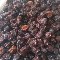 کشته آلوچه/ آلوچه خشک شده(درجه ۱)