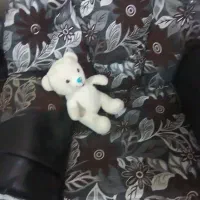 گلیم فروشی|گلیم، جاجیم، گبه|قوچان, |دیوار