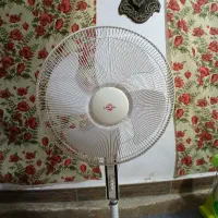 پنکه|پنکه و تصفیه‌کنندهٔ هوا|رامیان, |دیوار