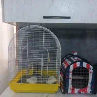 قفس و کیف پرنده