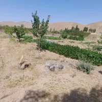 باغ جاده ورزقان|فروش دفتر صنعتی، کشاورزی، تجاری|خواجه, |دیوار