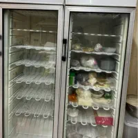 فریزر صنعتی ایستاده